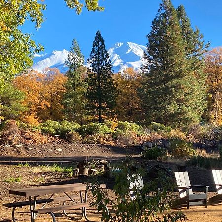 Basecamp Lodge Mount Shasta Extérieur photo